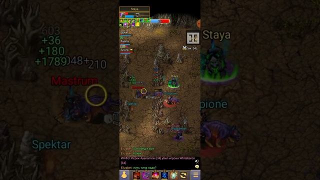 заклинатели взяли тур арены- Warspear Online- Staya