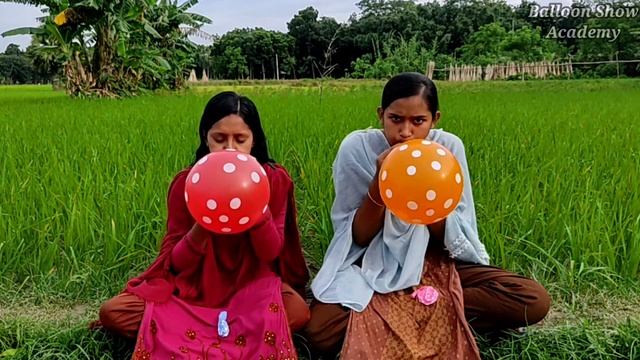 Santu-Simu Outdoor Fun With Ball-Print Balloon &learn Colors For kids by i kids.Balloon Fun.Part:31 смотреть онлайн