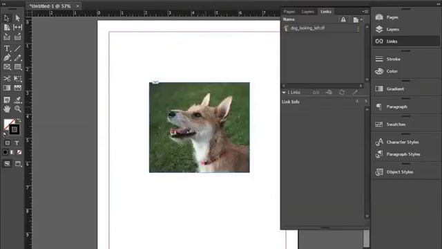 How to Manage links to imported files in InDesign CC смотреть онлайн