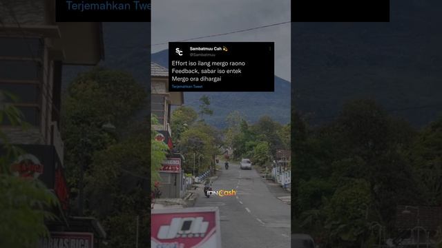 rina aditama - nemu | tekamu dadi tombo ngobati ati sing loro #idncash смотреть онлайн