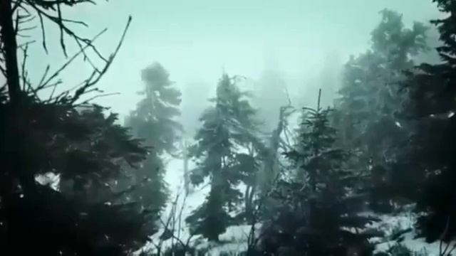 28 ноября 2020 г. смотреть онлайн