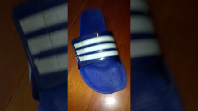 SLIPPER SIBLINGS SEASON 3 EPISODE 5 смотреть онлайн