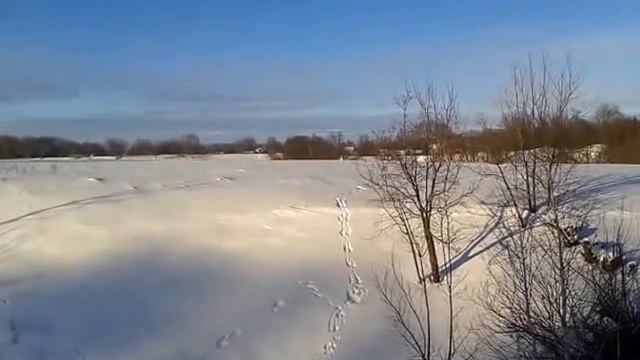 хаски смотреть онлайн