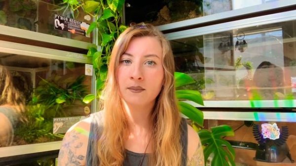 Tips When You Bring A Chameleon Home