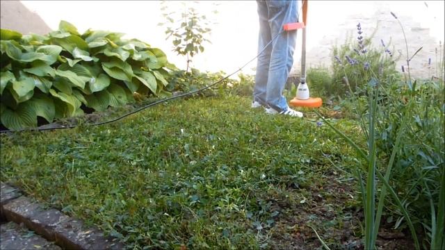 Električni Trimer Stihl FSE 31 (košenje I čišćenje Trimera)