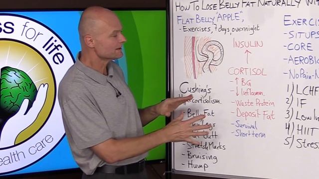 How To Lose Belly Fat Naturally Without Exercise смотреть онлайн