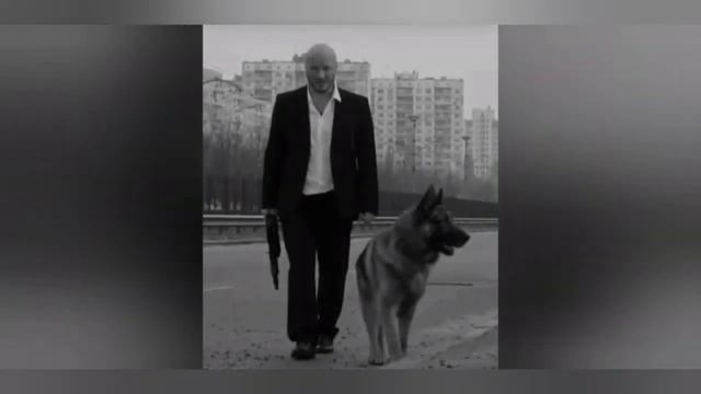 Пёс граф смотреть онлайн