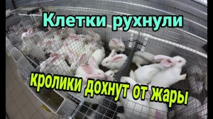 КРОЛЬЧАТНИК. МОИ ОШИБКИ И РЕШЕНИЯ. Обзор крольчатника 3 месяца спустя.