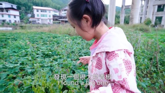 媳婦買了柿子，結果女兒不敢吃，聽聽她怎麼說 смотреть онлайн