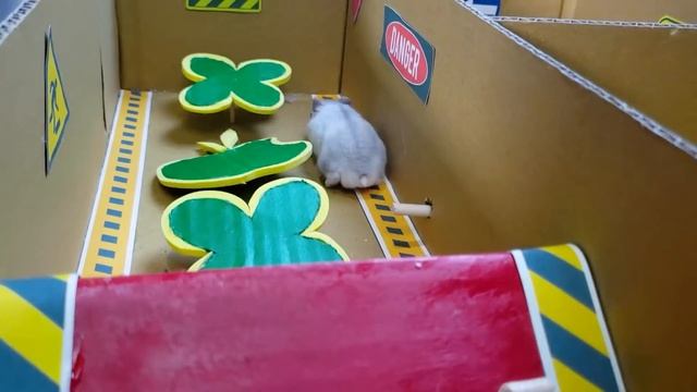 ? Snake maze with Traps hamster Police Pets? in Hamster 1001 смотреть онлайн