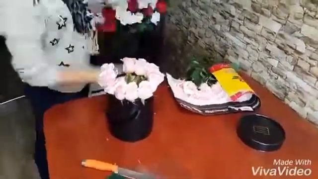 Кактус 24 - доставка цветов в Санкт-Петербурге смотреть онлайн