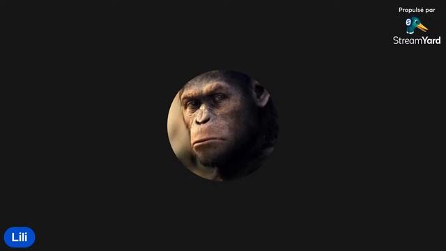 Petit Cc смотреть онлайн
