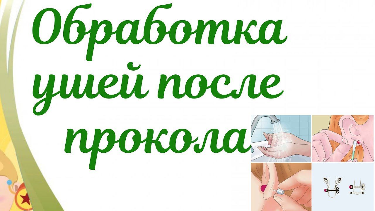 Чем обрабатывать уши после прокола? Алгоритм обработки ушей,воспаление. смотреть онлайн