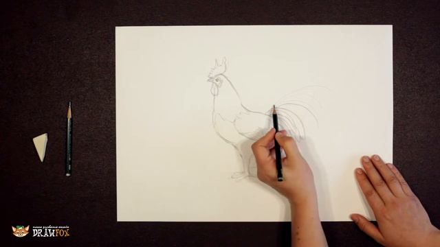 Как нарисовать петуха поэтапно простым карандашом начинающие смотреть онлайн