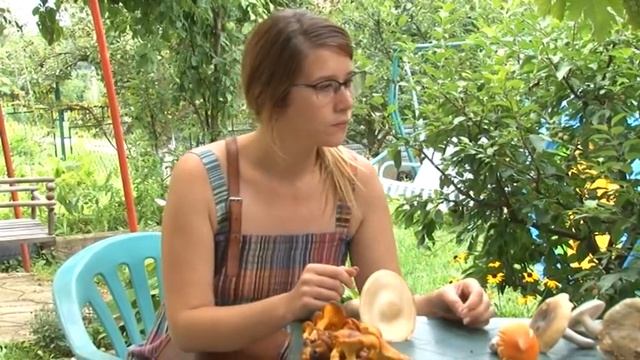 Koje su gljive otrovne? смотреть онлайн