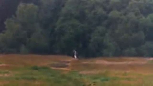 Monty Python and the Holy Grail - Knigth running смотреть онлайн