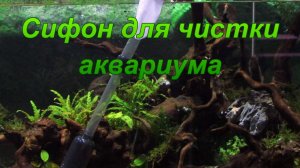 Сифон для чистки аквариума.