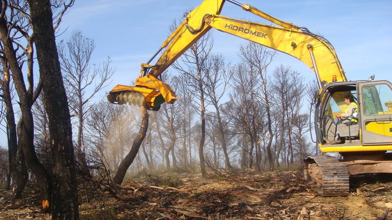Эти удивительные машины мгновенно превращают дерево в щепки смотреть онлайн