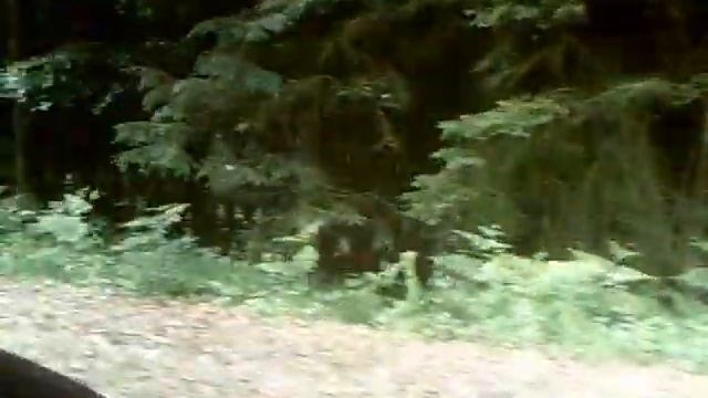 petite vue en musique смотреть онлайн