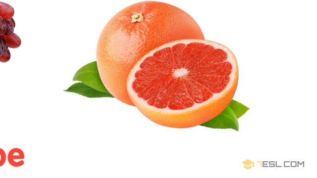 100 Most Popular Fruits in The World | Learn Names of Different Types of Fruits in English смотреть онлайн