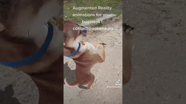 Boost your business with Augmented Reality animations (4) ! смотреть онлайн