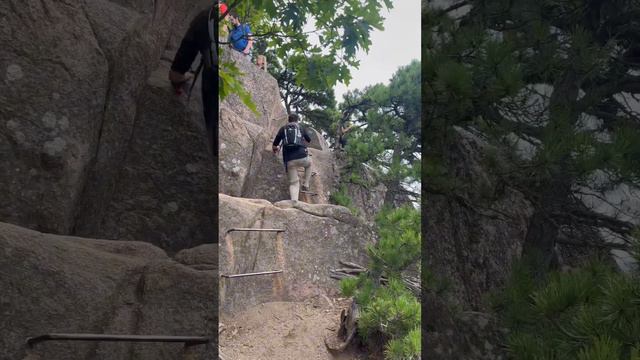 Beehive Trail #acadianationalpark #barharbor #maine #trails #travel #outdoor #hiking #nature #short смотреть онлайн