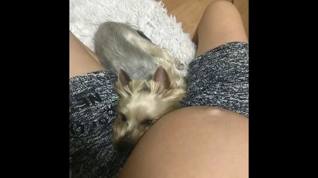 Золотой Беня. смотреть онлайн