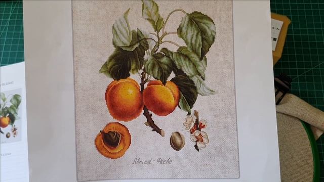 13-20. Вышивка. Итоги июня и планы на июль смотреть онлайн