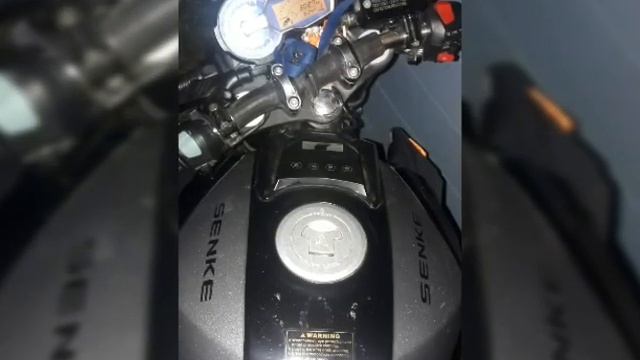 Nueva Senke 300cc