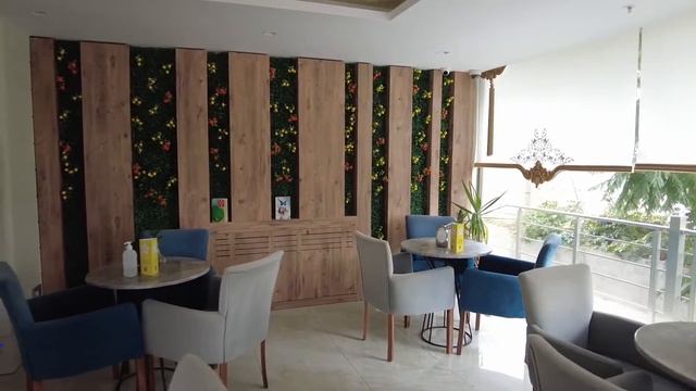 Citrus Park Hotel смотреть онлайн