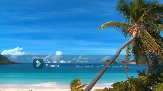 расслабляющая восточная музыка для медитации релаксации сна и отдыха пляж смотреть онлайн