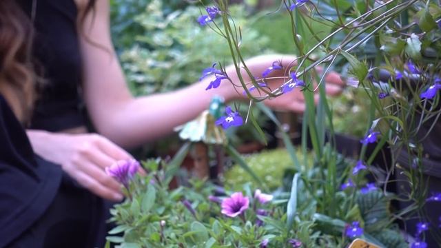 A Witches Summer Evening Routine смотреть онлайн