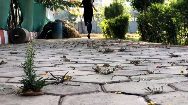 Шаг в стиль: Купить черные кроссовки Asics - идеальный вариант для осени! смотреть онлайн