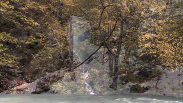 Как лань желает к потокам воды смотреть онлайн