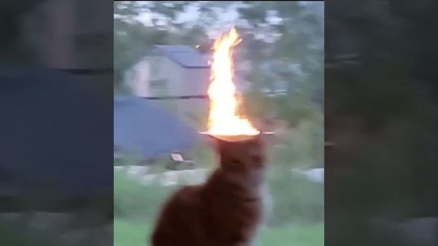 Нормально завтра опять на работу 🫥 смотреть онлайн