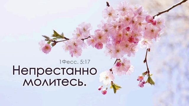 ЛИШ МОЛИТВА ВИГОЮЄ РАНИ(ІВАН ТА ВІТА БУЗЯН) смотреть онлайн