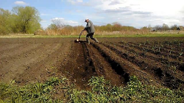 мототяпка в работе прополка и окучивание фрезами смотреть онлайн
