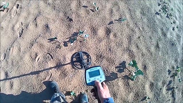 ПОЛЕ , ПЛЯЖ , РЫБАЛКА( МОИ НАСТРОЙКИ БЕРКУТ-5 НА ПЛЯЖ)