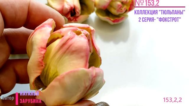 153,2,2 модель из коллекции "Тюльпаны Фокстрот" смотреть онлайн