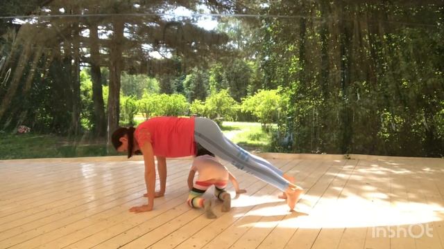 Адхо Мукха Шванасана, Кумбхакасана, Чатуранга Дандасана смотреть онлайн