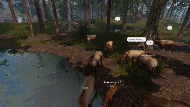 Male Elk FIGHT Mating Season DOMINANCE | ROBLOX Cenozoic Survival смотреть онлайн