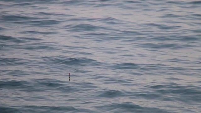 ФОРОС - ловим крабов, ныряем с рыбами КРЫМ! смотреть онлайн