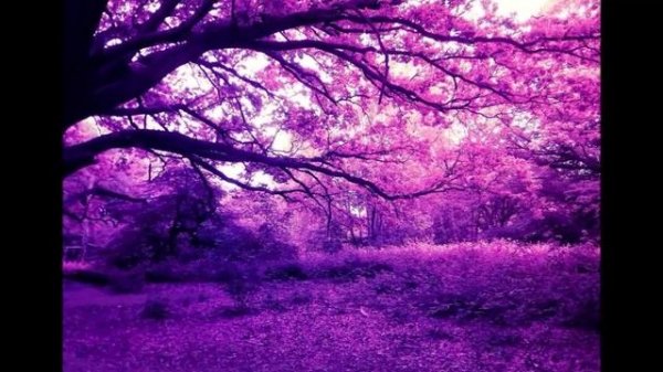 puti morning / Dima Dark-Forest 8 видео ролик (7.04.2023)