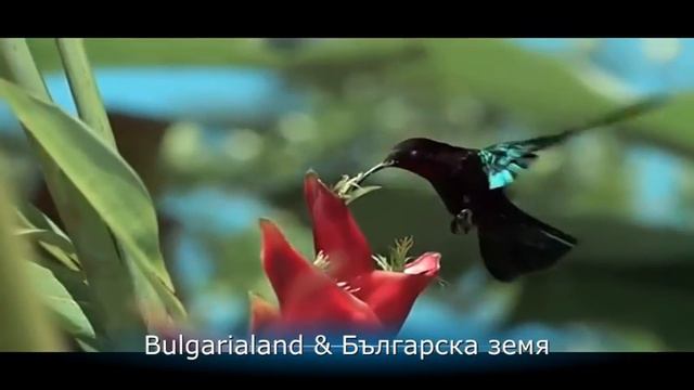 Природа в движение & Nature Activities