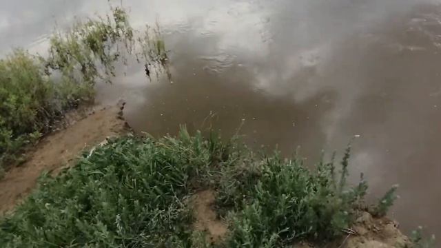 с. Илек около устья 04.06.22г. смотреть онлайн