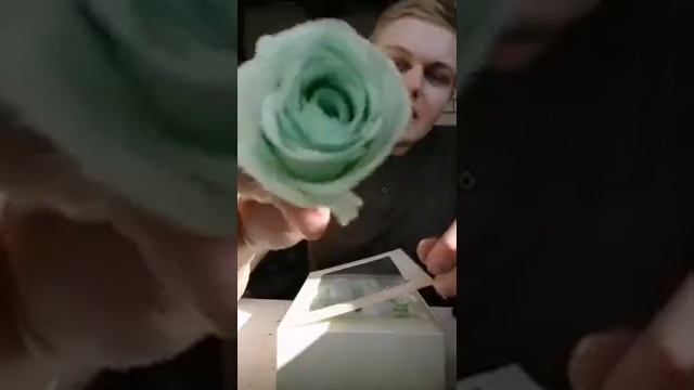 Стабилизированные цветы. Обзор. смотреть онлайн