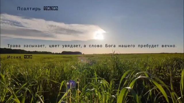 Слово Божие смотреть онлайн