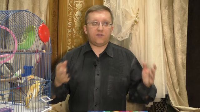 #022. Кто такой директолог? Зачем он нужен для бизнеса? смотреть онлайн