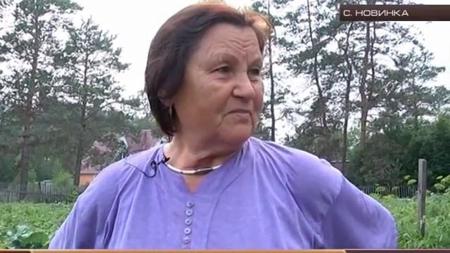 ОГОРОД, ЛЕС И РЕЧКА смотреть онлайн