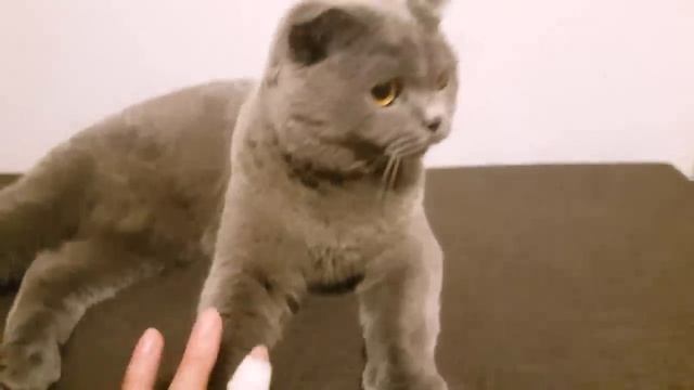 ОЧКИ?! Вкусный суп!? смотреть онлайн